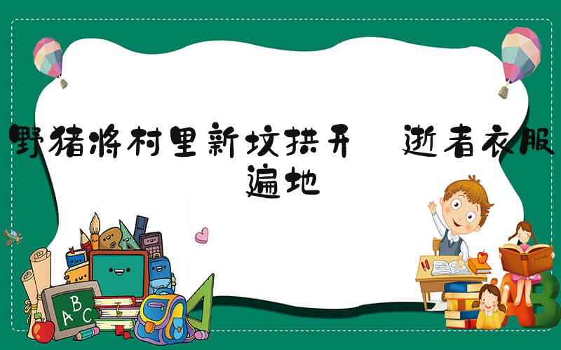 野猪将村里新坟拱开 逝者衣服遍地